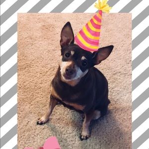 Meet your Posher, Jody